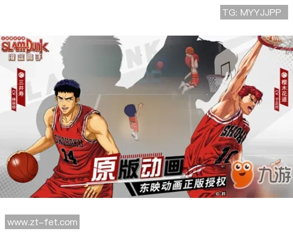 赵磊独家分享：深入浅出篮球技巧与心得体会解析